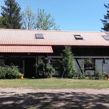 Agroturystyka Pod Debami W Klukach Smoldzino Exterior photo